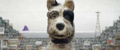 Well, good luck to you - Isle of Dogs