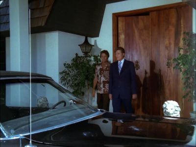 WELL, GOOD WORK, KIMO.
THANK YOU. - Hawaii Five-O