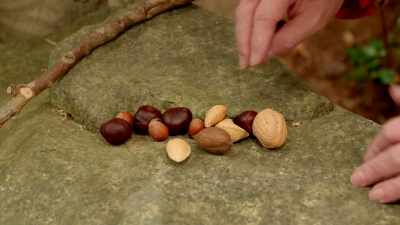 Well, we got hazelnuts
and almonds. - At Home with Amy Sedaris