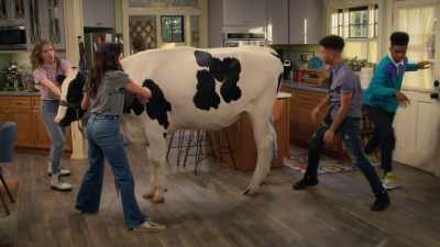 - Well, grab some cow and push! - Side Hustle