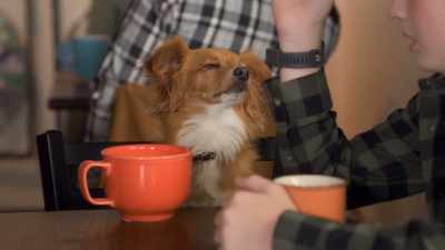 Well, your hand
did fly across the cafe, so, yeah. - The Healing Powers of Dude