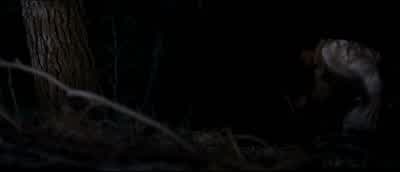 Well hell it ain't square oneAin't no one gonna pick up3 filthy unshaved hitchhikersAnd one of them a know it allwho can't keep his trap shutPete the personal rancor reflected in that remarkI don't intend to dignify with commentBut I would like to address - O Brother, Where Art Thou?