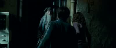 Well He's free We did itDid whatGood night - Harry Potter and the Prisoner of Azkaban
