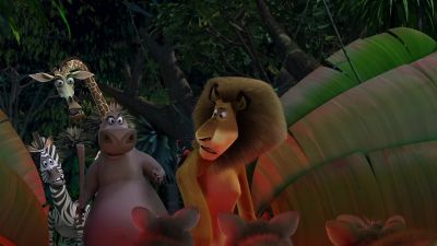 Well howdy do - Madagascar