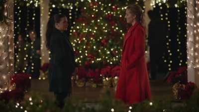 Well, I appreciate it.
But I don't really care - A Christmas Open House