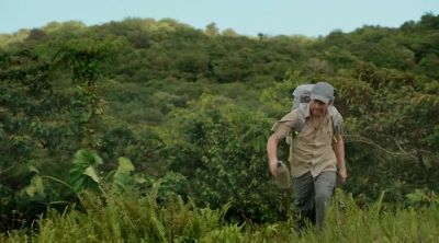 Well, I can't find
anything wrong with it. - Death in Paradise