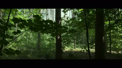 Well, I don't know why you're worried, mom. - Pet Sematary
