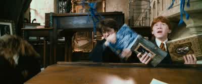 Well, I don't knowexactly what it means. - Harry Potter and the Chamber of Secrets