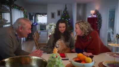 Well, I just call it
how I see it. - The Dog Days of Christmas