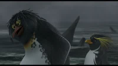 Well I lostMe tooCome on Let's go loser - Surf's Up