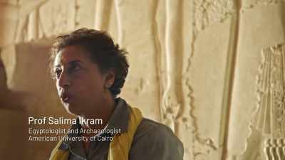 Well, I mean, you've got normal - Tutankhamun: Secrets of the Tomb