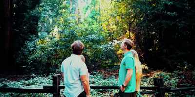 - Well, I remember these trees
were greener 10 years ago, - Birdemic 3: Sea Eagle