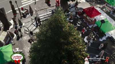 Well, I think
it's safe to say, - A Christmas Tree Grows in Colorado