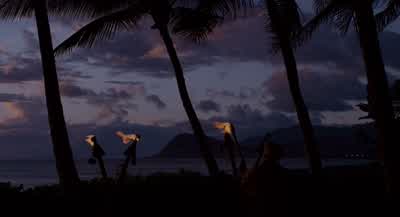 I would love to sell you some weed Jeremy but I'm at my fucking job right nowObviously because you called me at work you know that I'm at my place of workSo I can't just leave here and sell you some weedI can sell you some weed when I'm done - Forgetting Sarah Marshall