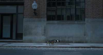 Well, I wouldn't say
I've humped, per se, - Strays