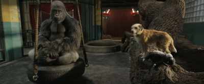 Well, I'd better get outta here
before they cart me off to the pound. - The One and Only Ivan
