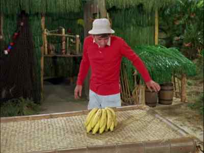 WELL, IF IT'S
NOT THAT ONE, - Gilligan's Island