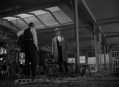 Well, if you've... - Citizen Kane