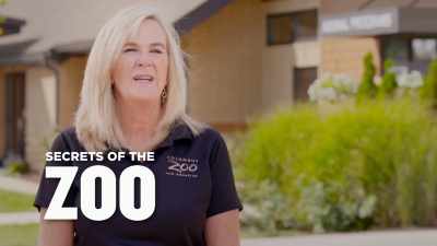 Well, I'm checking in
on heather and lauren, - Secrets of the Zoo