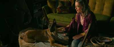 Well, I'm worried she may
have broken her foot, - Dog