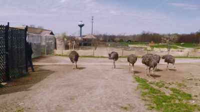Well, this is boring! (laughs) - Secrets of the Zoo