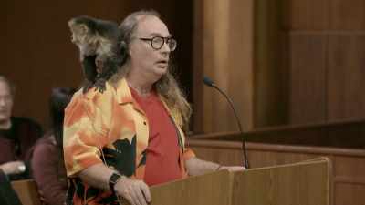 Well, this is the reason
he's doing this act. - Gary Busey: Pet Judge