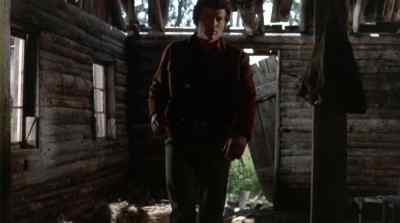 WELL, IT WASN'T MUCH, - The Bears and I