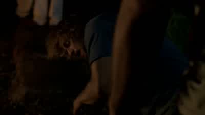Well, it's about time, cowboy. - Lost