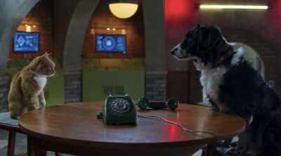 Well, it's up to you
two to get them ready. - Cats & Dogs 3: Paws Unite