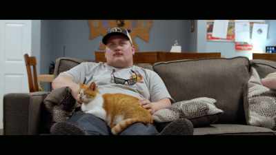 Well, I've never really been
around cats, never owned one. - Cat Daddies