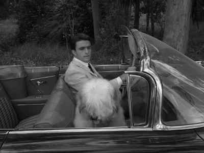 Well, you just earned yourself a steak. - The Twilight Zone
