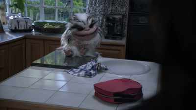 Well you just gonna
keep killin' men - Critters Attack!