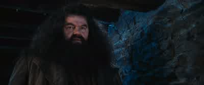 Well, Just Harry, did you ever make anything happen? - Harry Potter and the Philosopher's Stone