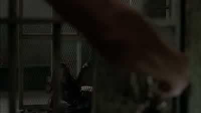 We'll keep this safe and sound. - The Walking Dead