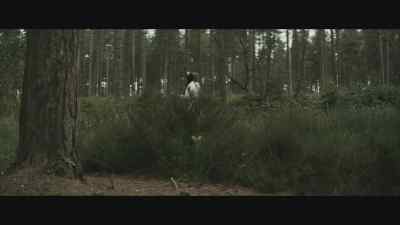 - Well, you know, I
just find it fascinating - Piglet