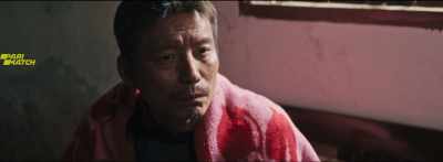 We'll let you know
when we're back open. - Dead Pigs
