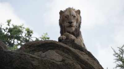 Well, let's hope we're never
attacked by a beetle. - The Lion King