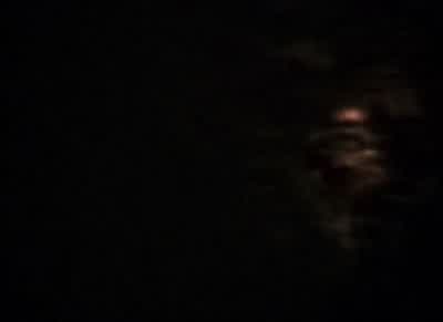 We'll look for him. - The Blair Witch Project