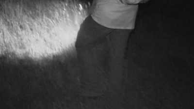Well, it looks like,
I'm not too far - Expedition Bigfoot