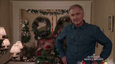 Well, it looks like - A Bramble House Christmas