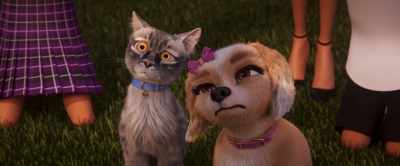 Well, maybe we would have - Gracie & Pedro: Pets to the Rescue