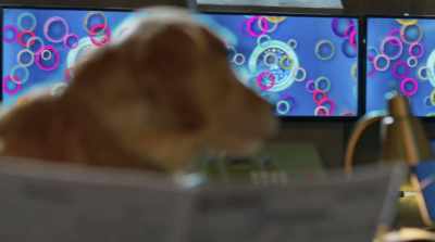 Well, mostly I've been just watching
these bubbles float across the screen. - Cats & Dogs 3: Paws Unite