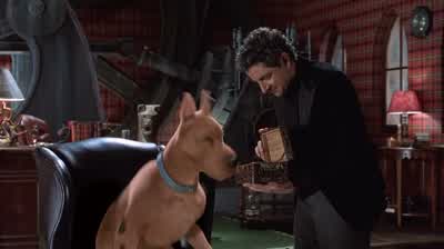 We'll need some more of those. - Scooby Doo