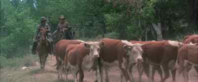 Well, we need us a new fence. - Comes a Horseman