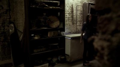 Well, nothing in any of those. - The Vampire Diaries