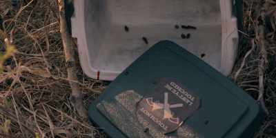 Well, now, that is some
fine detective work, Pickett. - Joe Pickett