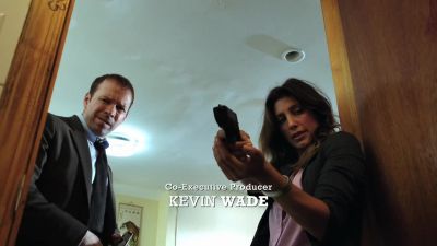 Well, now we're down
to hunting one mutt. - Blue Bloods