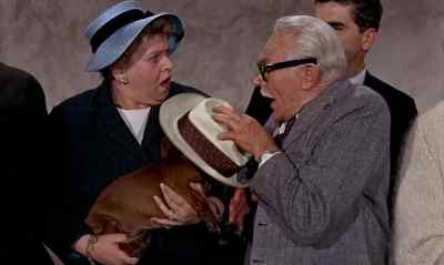 WELL, OF ALL THE--
REALLY, I-- - The Ugly Dachshund