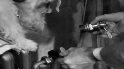 Well. - Shadow of the Thin Man