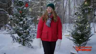 Well, - Christmas Under the Northern Lights